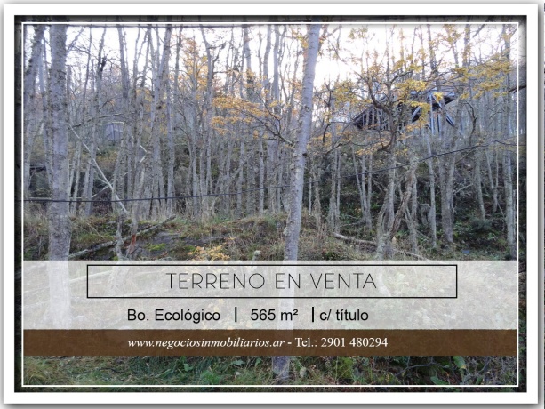 Balbin, Ecológico, Tierra del Fuego 9410, ,Lote,En Venta,Balbin,1107