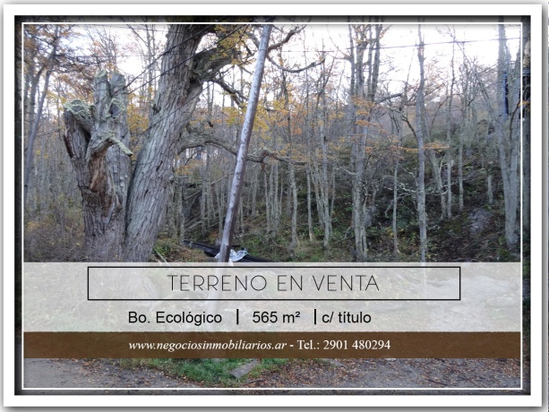 Balbin, Ecológico, Tierra del Fuego 9410, ,Lote,En Venta,Balbin,1107