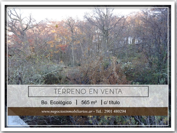 Balbin, Ecológico, Tierra del Fuego 9410, ,Lote,En Venta,Balbin,1107