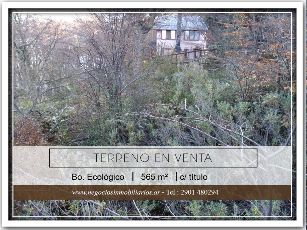 Balbin, Ecológico, Tierra del Fuego 9410, ,Lote,En Venta,Balbin,1107