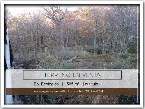 Balbin, Ecológico, Tierra del Fuego 9410, ,Lote,En Venta,Balbin,1107