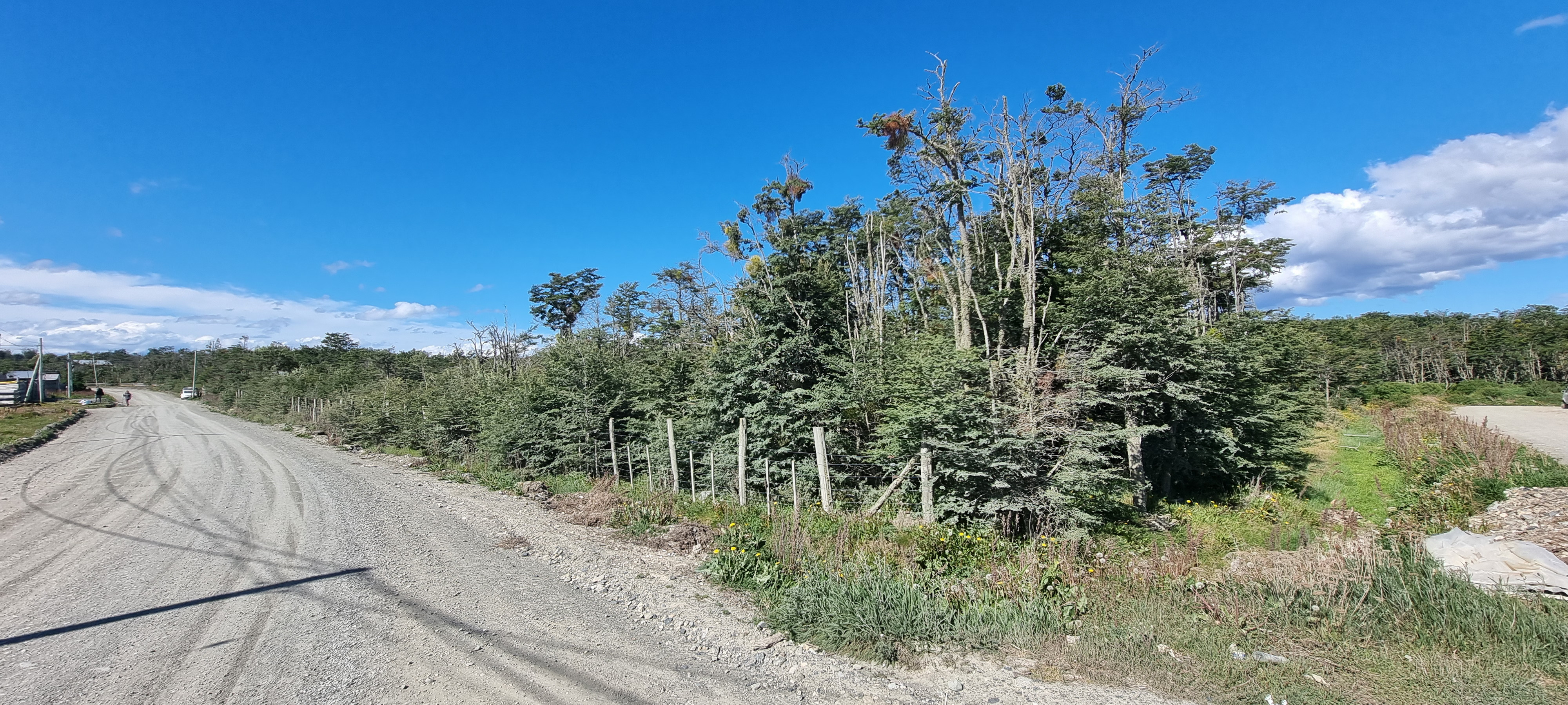 Centro, Tierra del Fuego, 0 , 0 ,0,Lote,En Venta,0,1220