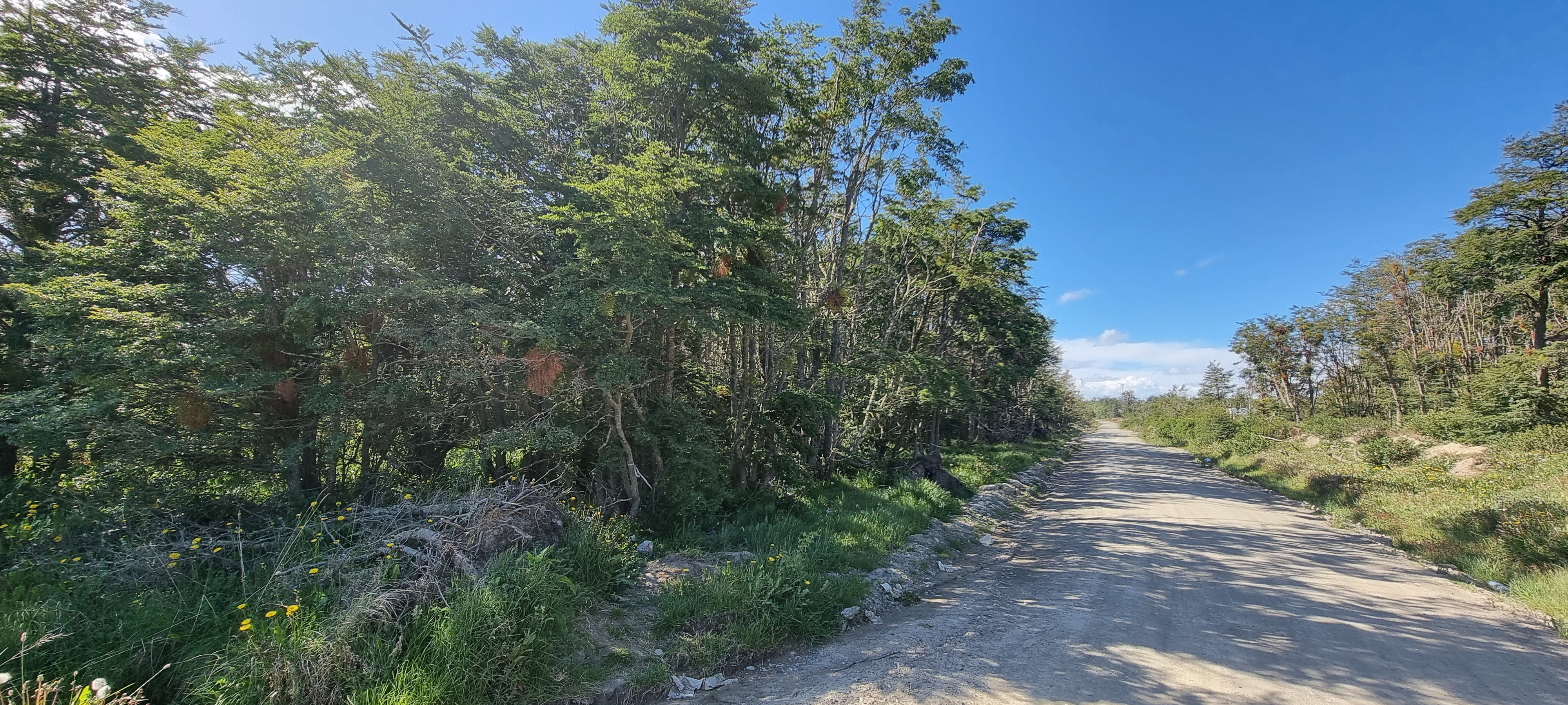 Centro, Tierra del Fuego, 0 , 0 ,0,Lote,En Venta,0,1220