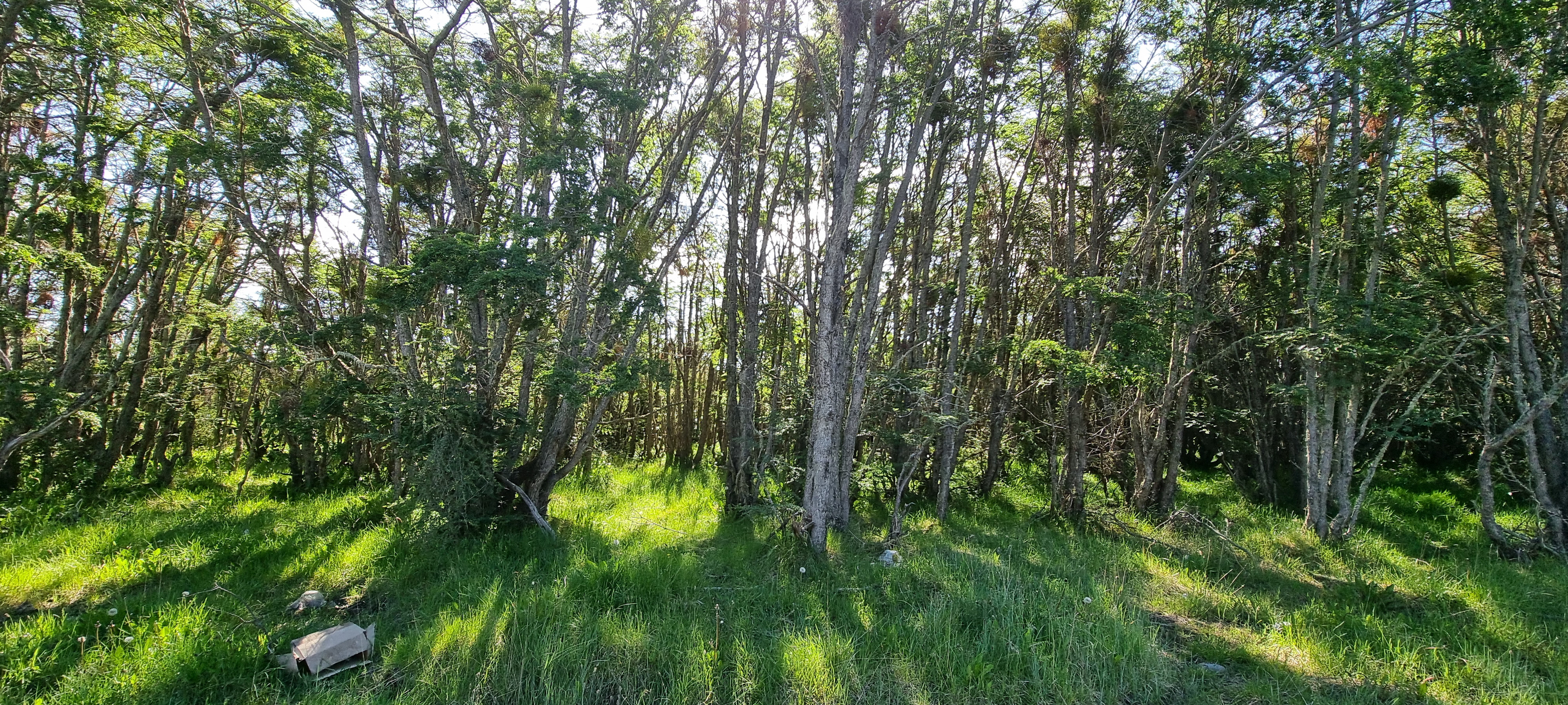 Centro, Tierra del Fuego, 0 , 0 ,0,Lote,En Venta,0,1220