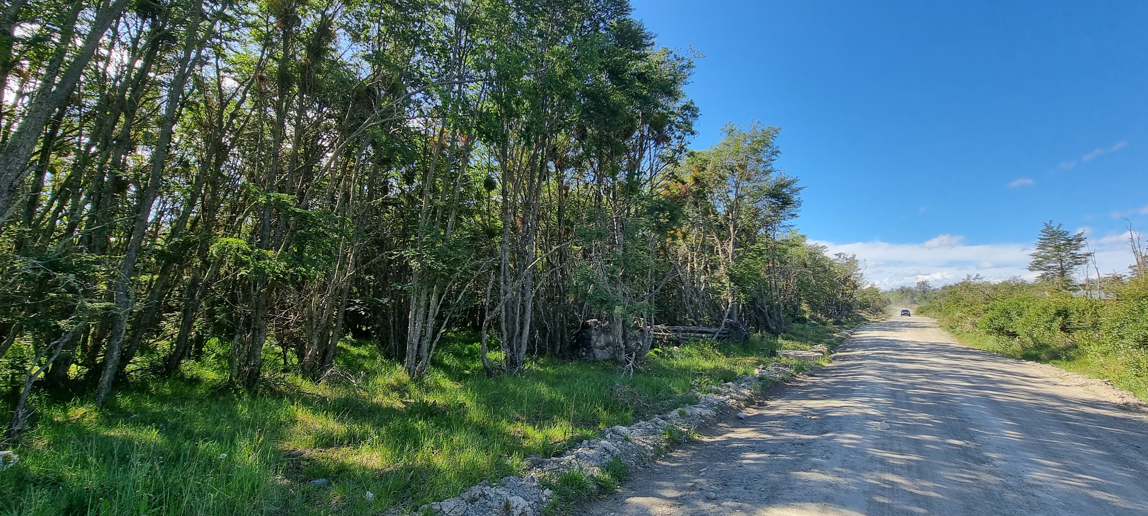 Centro, Tierra del Fuego, 0 , 0 ,0,Lote,En Venta,0,1220