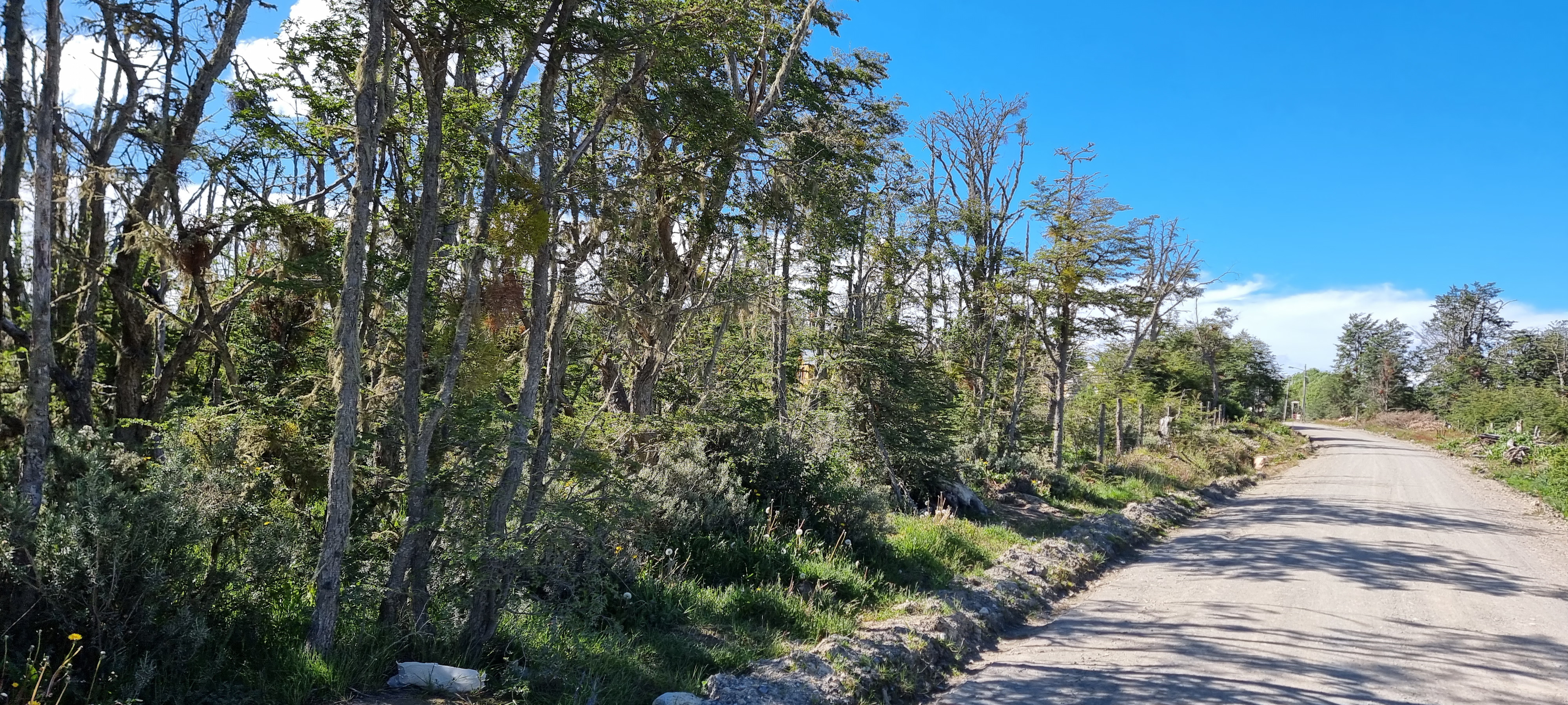 Centro, Tierra del Fuego, 0 , 0 ,0,Lote,En Venta,0,1220