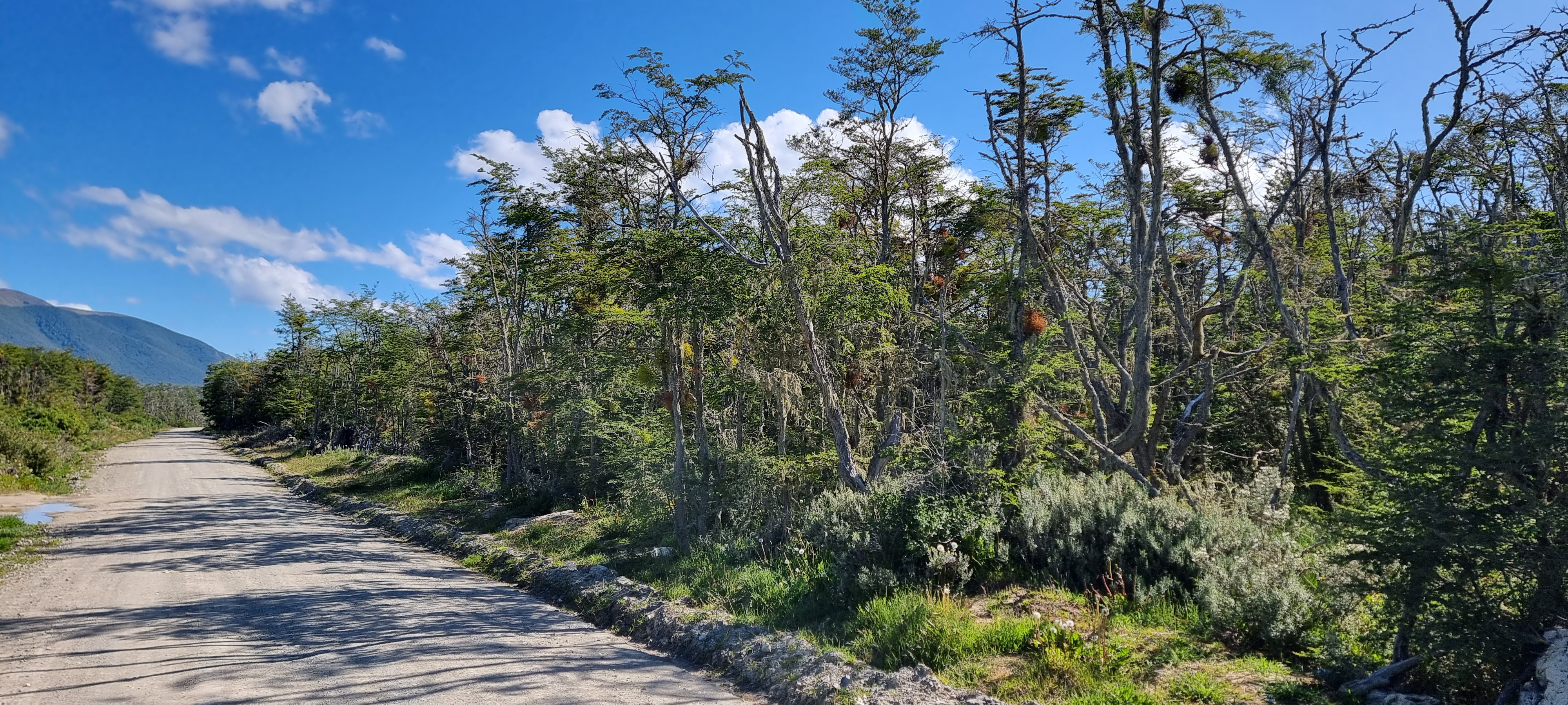 Centro, Tierra del Fuego, 0 , 0 ,0,Lote,En Venta,0,1220