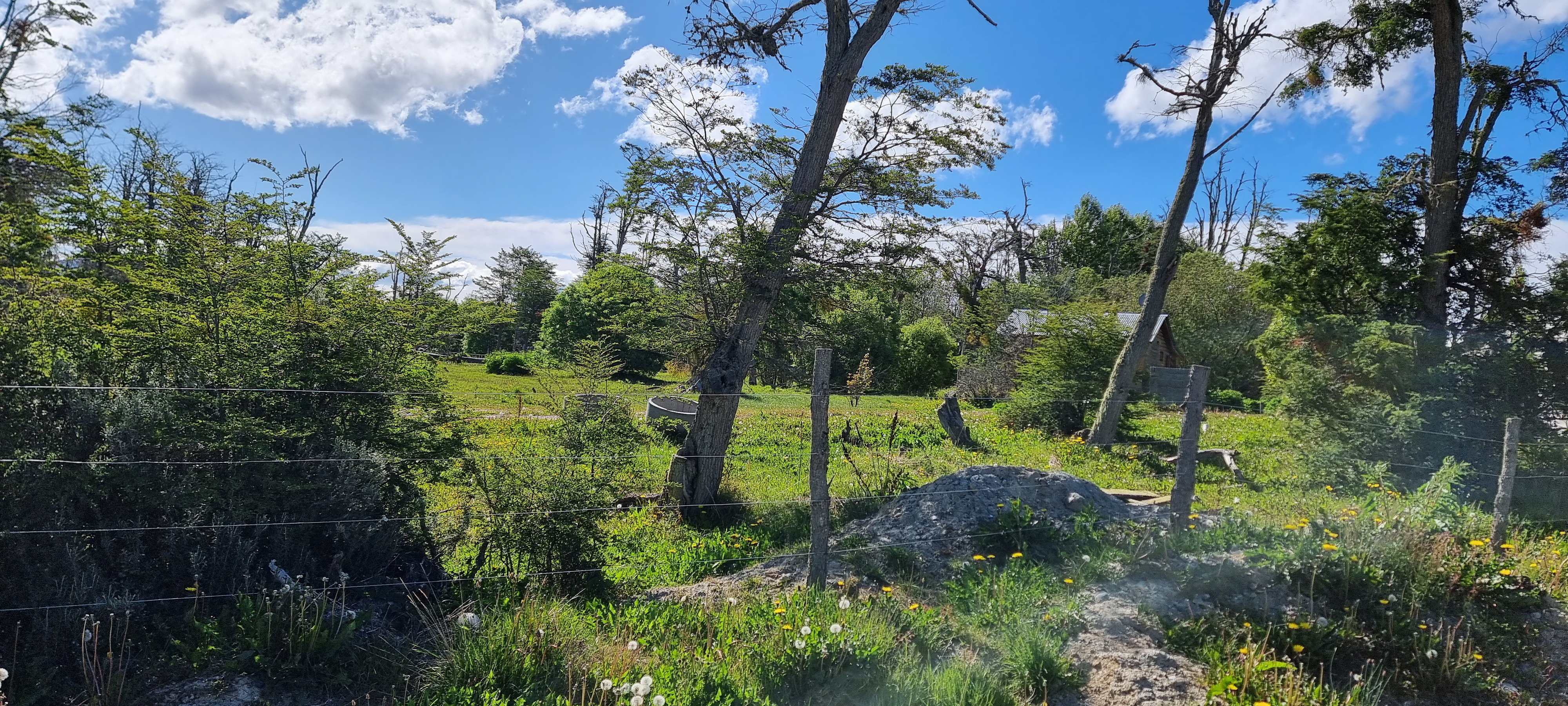 Centro, Tierra del Fuego, 0 , 0 ,0,Lote,En Venta,0,1220