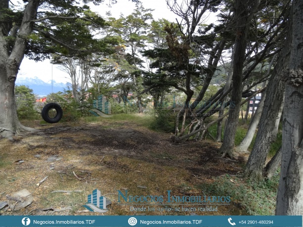 Av. Los Ñires, Bahia Cauquen, Tierra del Fuego 9410, ,Lote,En Venta,Av. Los Ñires,1019