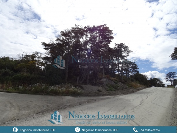 Av. Los Ñires, Bahia Cauquen, Tierra del Fuego 9410, ,Lote,En Venta,Av. Los Ñires,1019